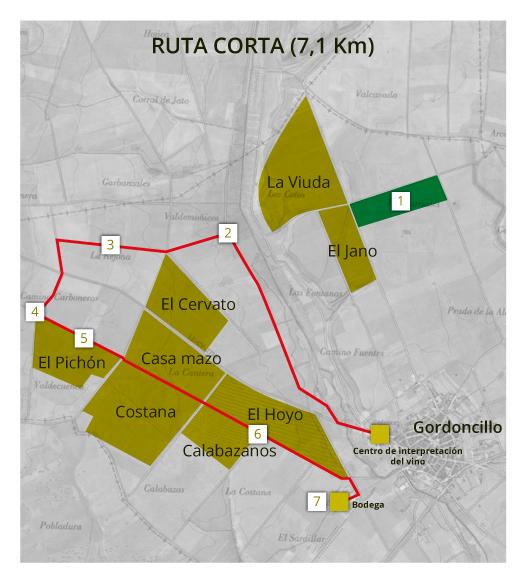 enoturismo-ruta-vino-corta